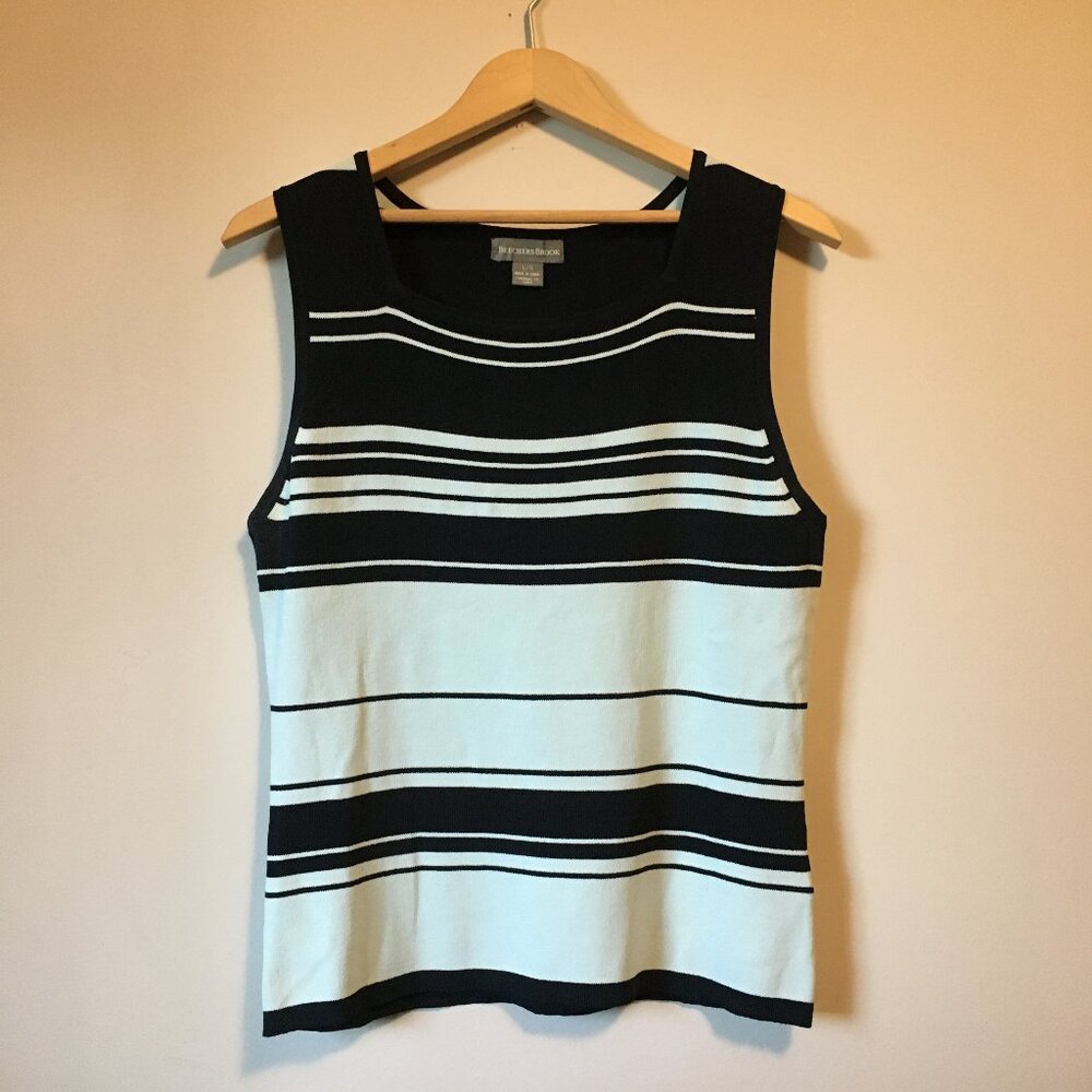 Beechers Brook Blue Striped Rayon Blend Tank Top Size Large